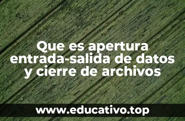 Que es apertura entrada-salida de datos y cierre de archivos