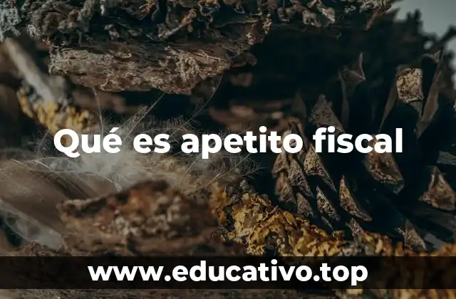 Qué es apetito fiscal