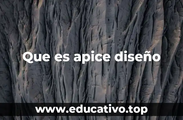 Que es apice diseño