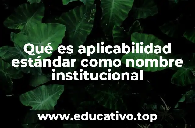 Qué es aplicabilidad estándar como nombre institucional