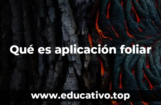 Qué es aplicación foliar