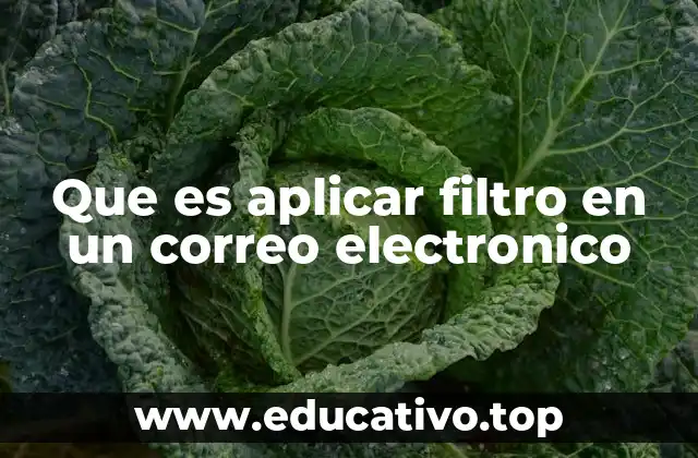 Que es aplicar filtro en un correo electronico