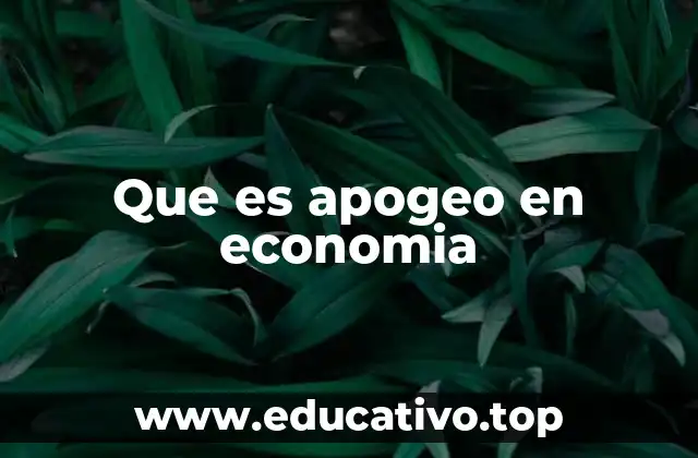 Que es apogeo en economia
