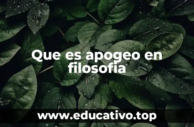 El apogeo como símbolo de madurez intelectual