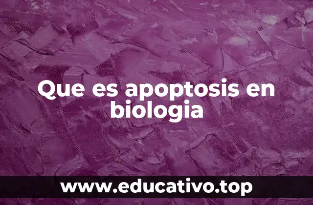 El papel de la apoptosis en el desarrollo biológico
