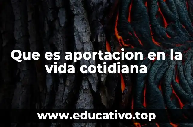 Que es aportacion en la vida cotidiana