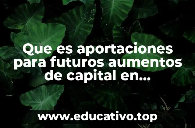Que es aportaciones para futuros aumentos de capital en contabilidad