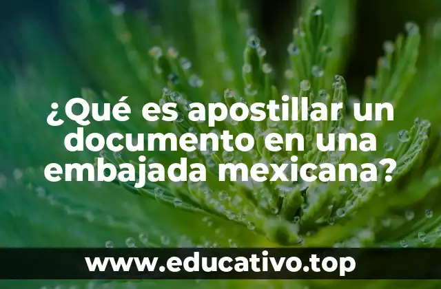 ¿Qué es apostillar un documento en una embajada mexicana?