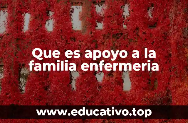 Que es apoyo a la familia enfermeria
