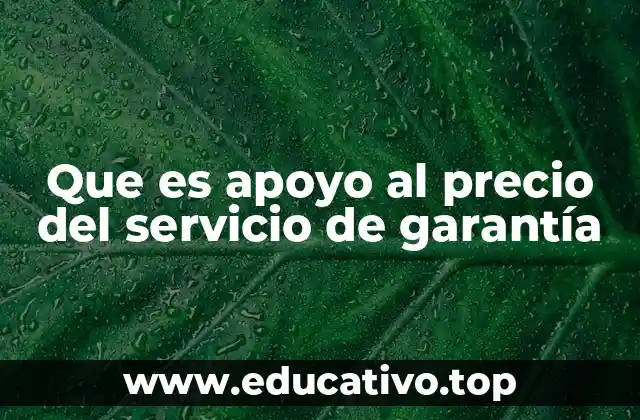 Que es apoyo al precio del servicio de garantía