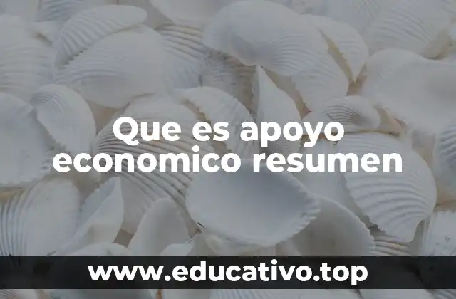 Que es apoyo economico resumen