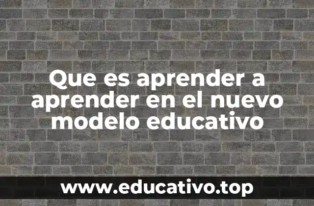 Que es aprender a aprender en el nuevo modelo educativo