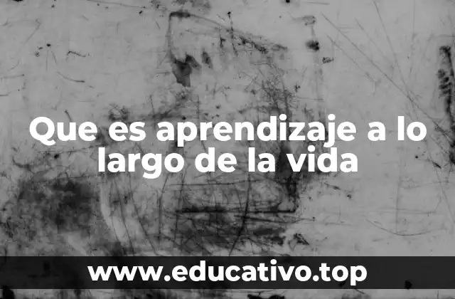 Que es aprendizaje a lo largo de la vida