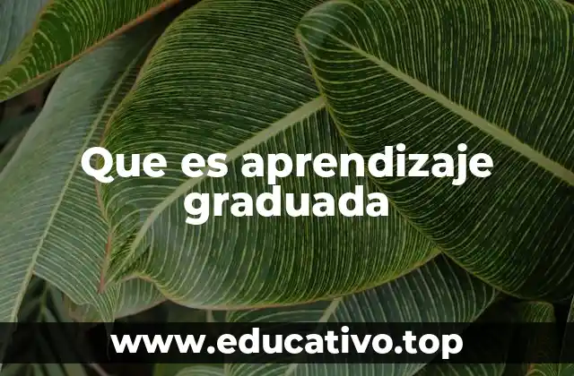 Que es aprendizaje graduada