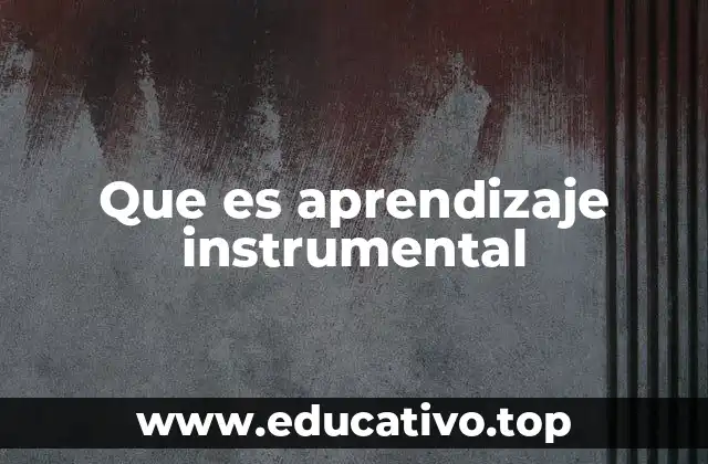 Que es aprendizaje instrumental