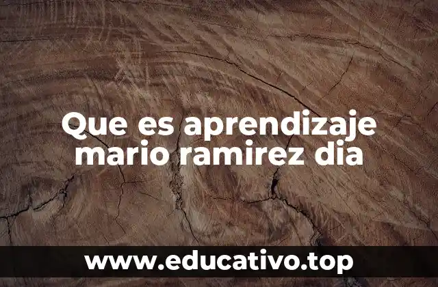 Que es aprendizaje mario ramirez dia