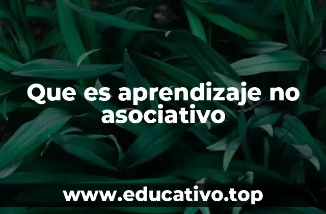 Que es aprendizaje no asociativo
