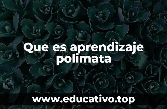 Que es aprendizaje polimata