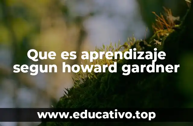 Que es aprendizaje segun howard gardner