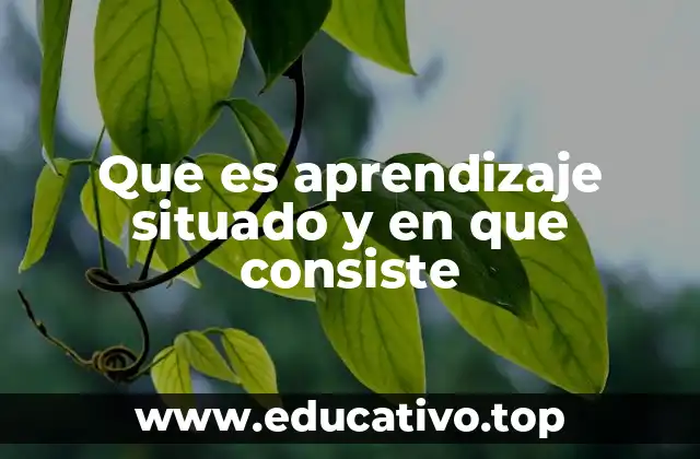 Que es aprendizaje situado y en que consiste