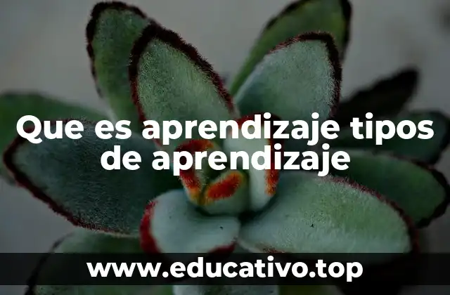 Que es aprendizaje tipos de aprendizaje