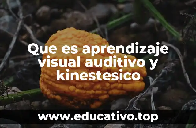 Que es aprendizaje visual auditivo y kinestesico