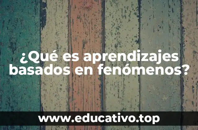 El fenómeno como punto de partida