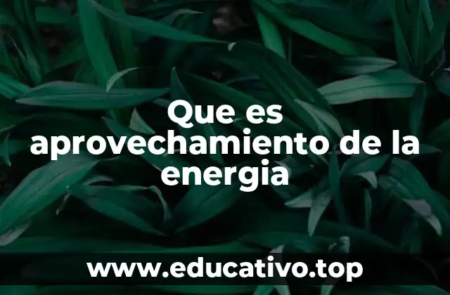 La importancia del aprovechamiento energético en la sociedad actual