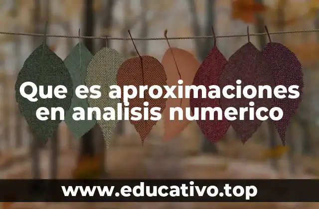 Que es aproximaciones en analisis numerico