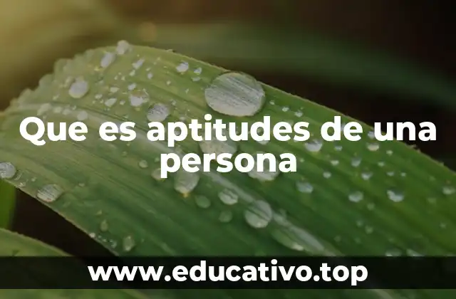 Que es aptitudes de una persona