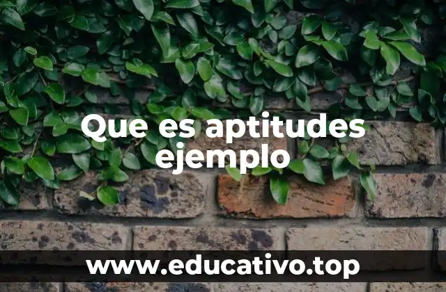 Que es aptitudes ejemplo