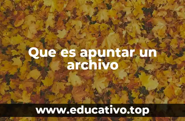 Que es apuntar un archivo