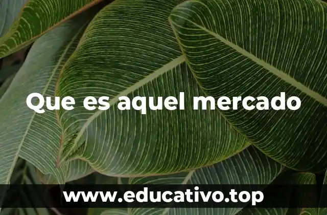 Que es aquel mercado