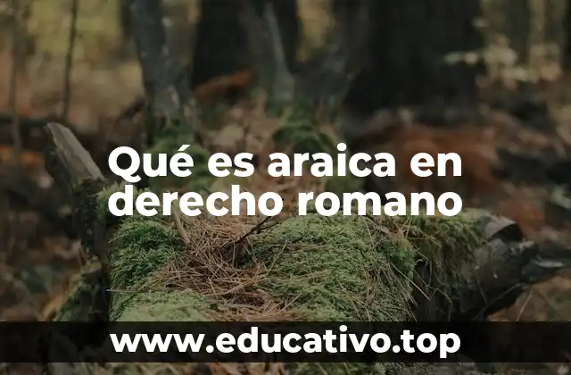 El araica como figura religiosa y jurídica en la Antigua Roma