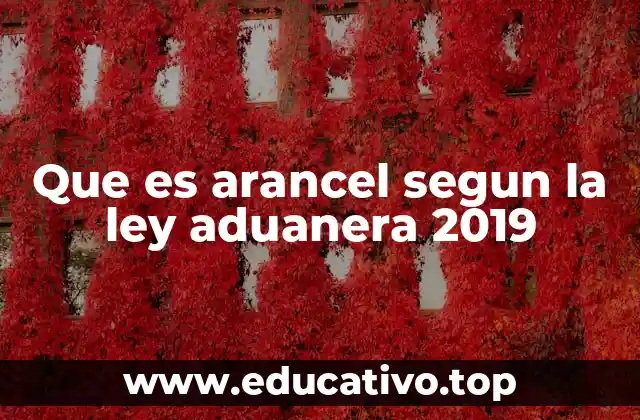 Que es arancel segun la ley aduanera 2019