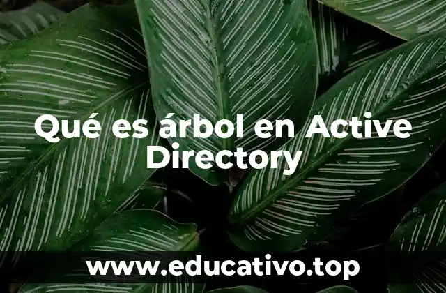 Qué es árbol en Active Directory