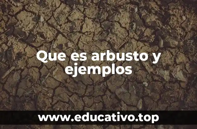 Que es arbusto y ejemplos