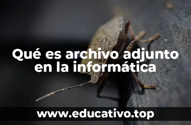 Qué es archivo adjunto en la informática