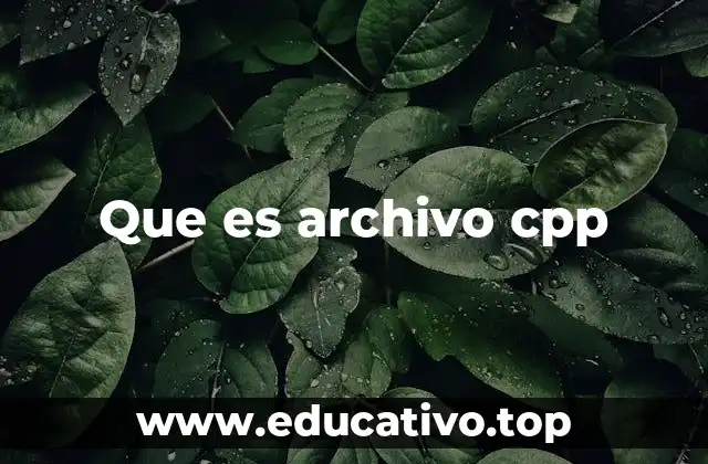Que es archivo cpp