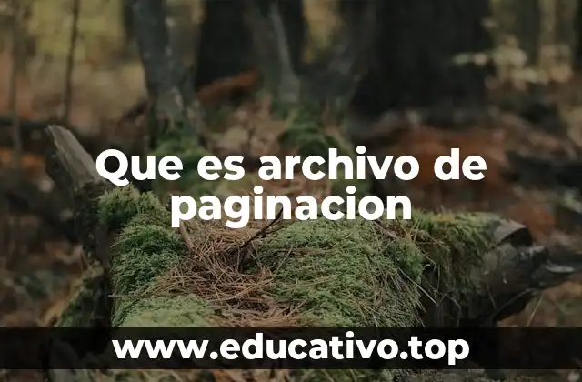 Que es archivo de paginacion