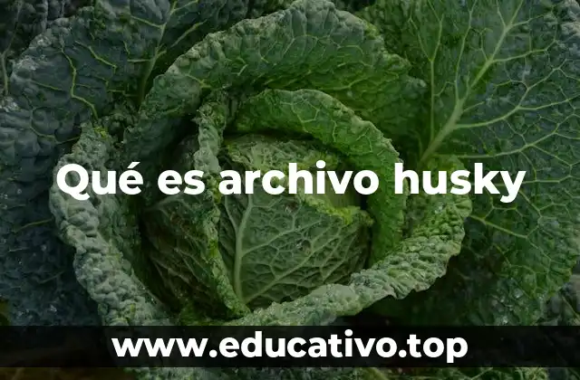 Qué es archivo husky