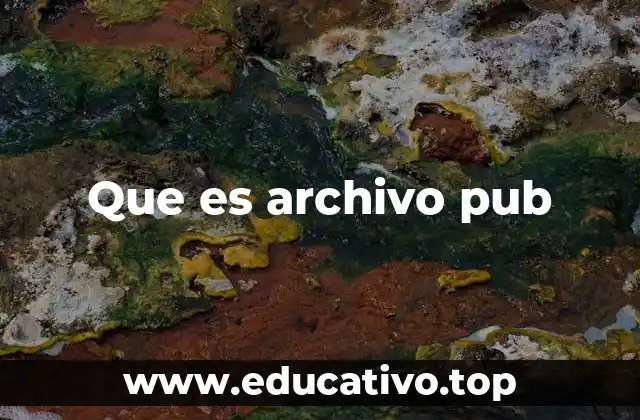 Que es archivo pub