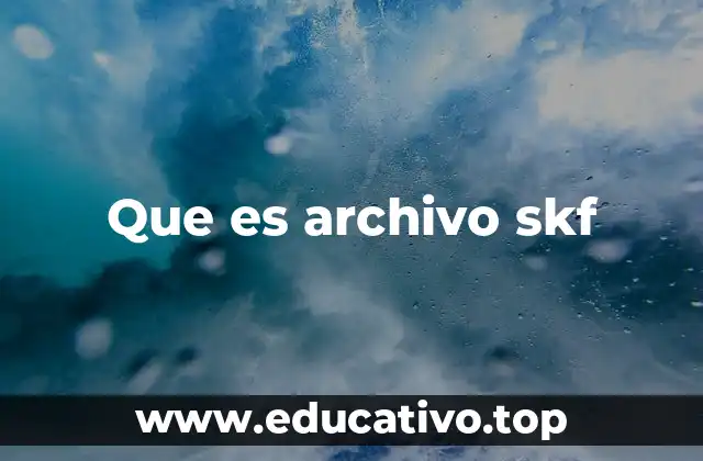 Que es archivo skf