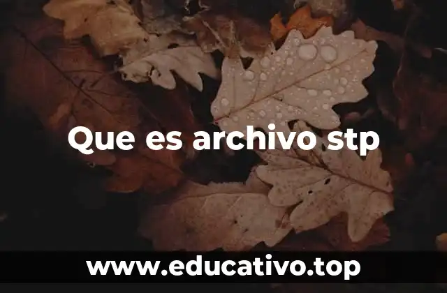 Que es archivo stp