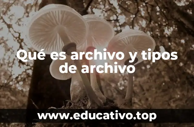 Qué es archivo y tipos de archivo