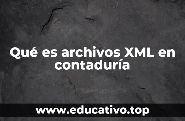 Qué es archivos XML en contaduría