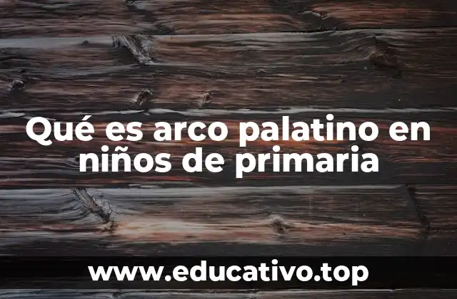 Qué es arco palatino en niños de primaria