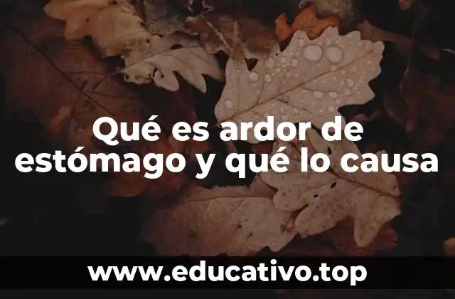 Qué es ardor de estómago y qué lo causa