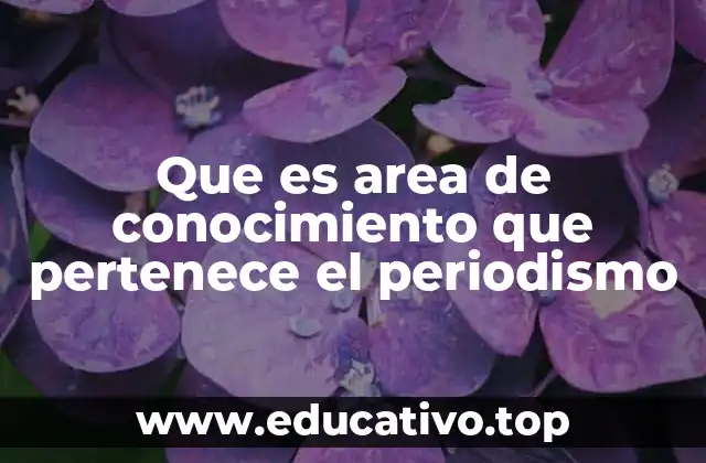 Que es area de conocimiento que pertenece el periodismo