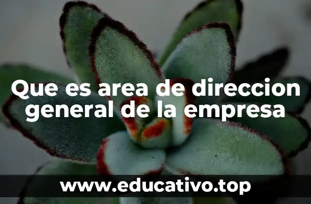 Que es area de direccion general de la empresa
